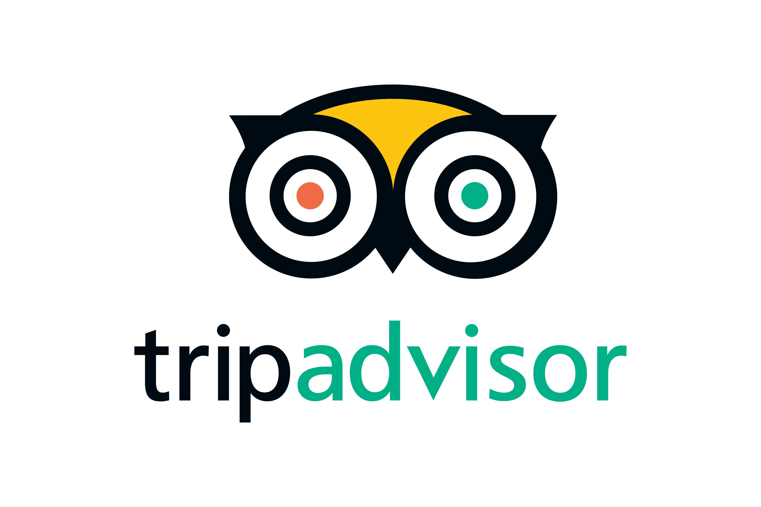 TripAdvisor-Logo