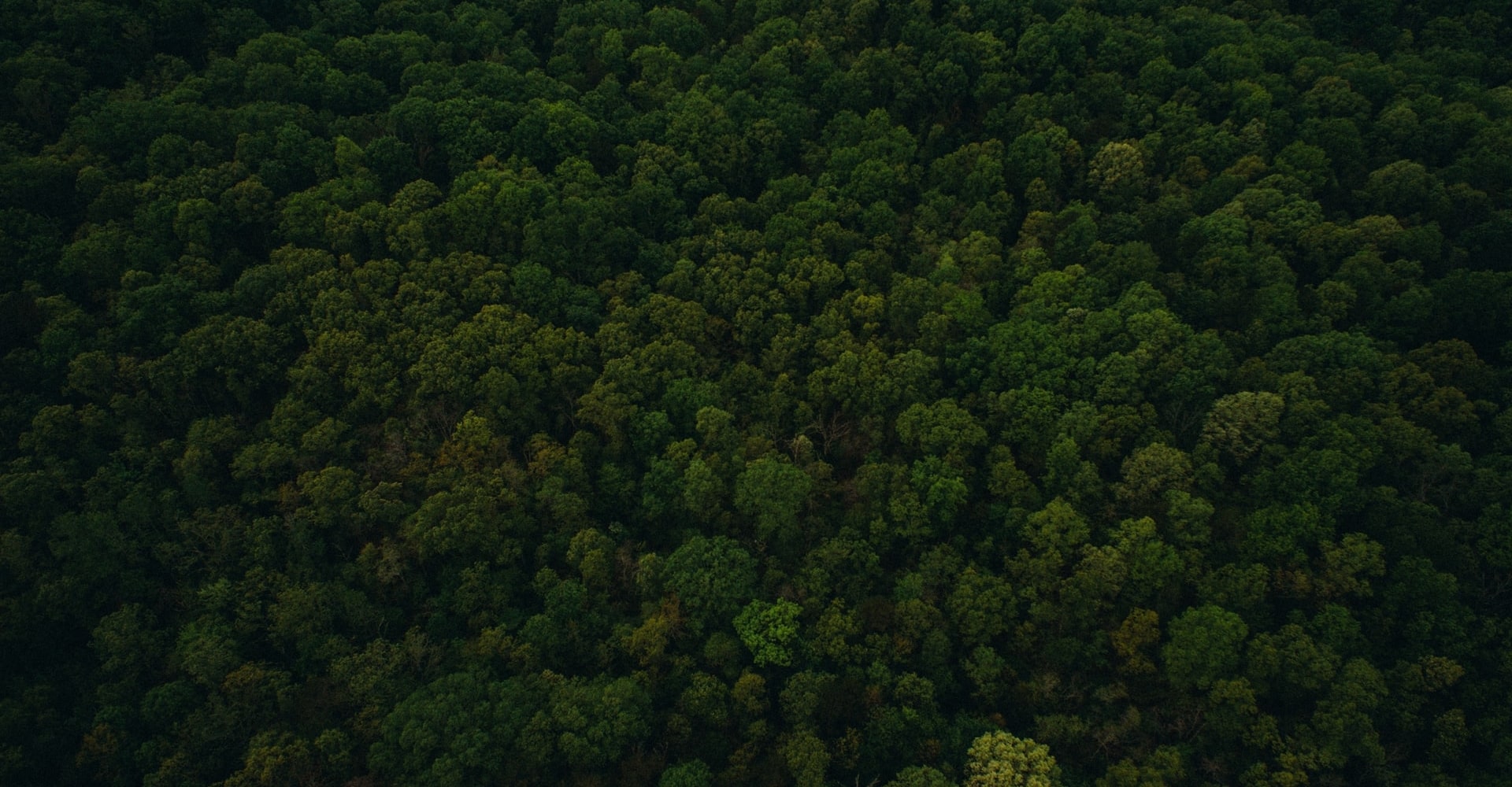slider-bg-new фольварк Гвоздь